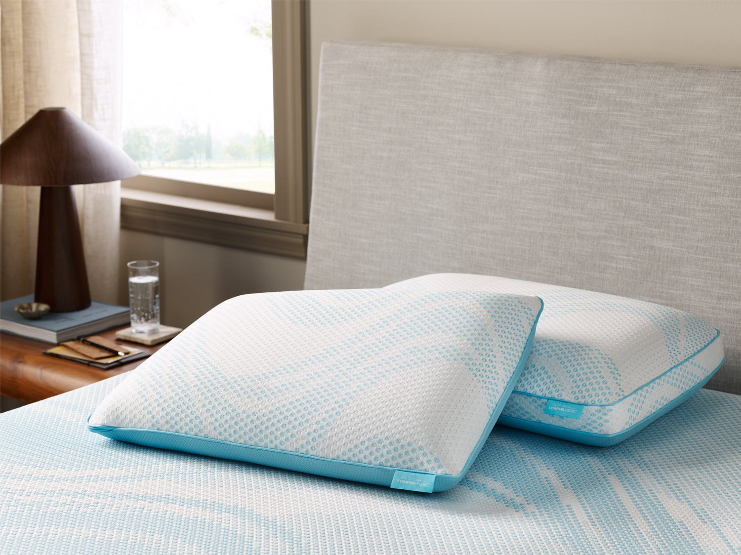 Sleep & Bedding > Pillows