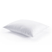Feather & Down Pillow Insert - Standard