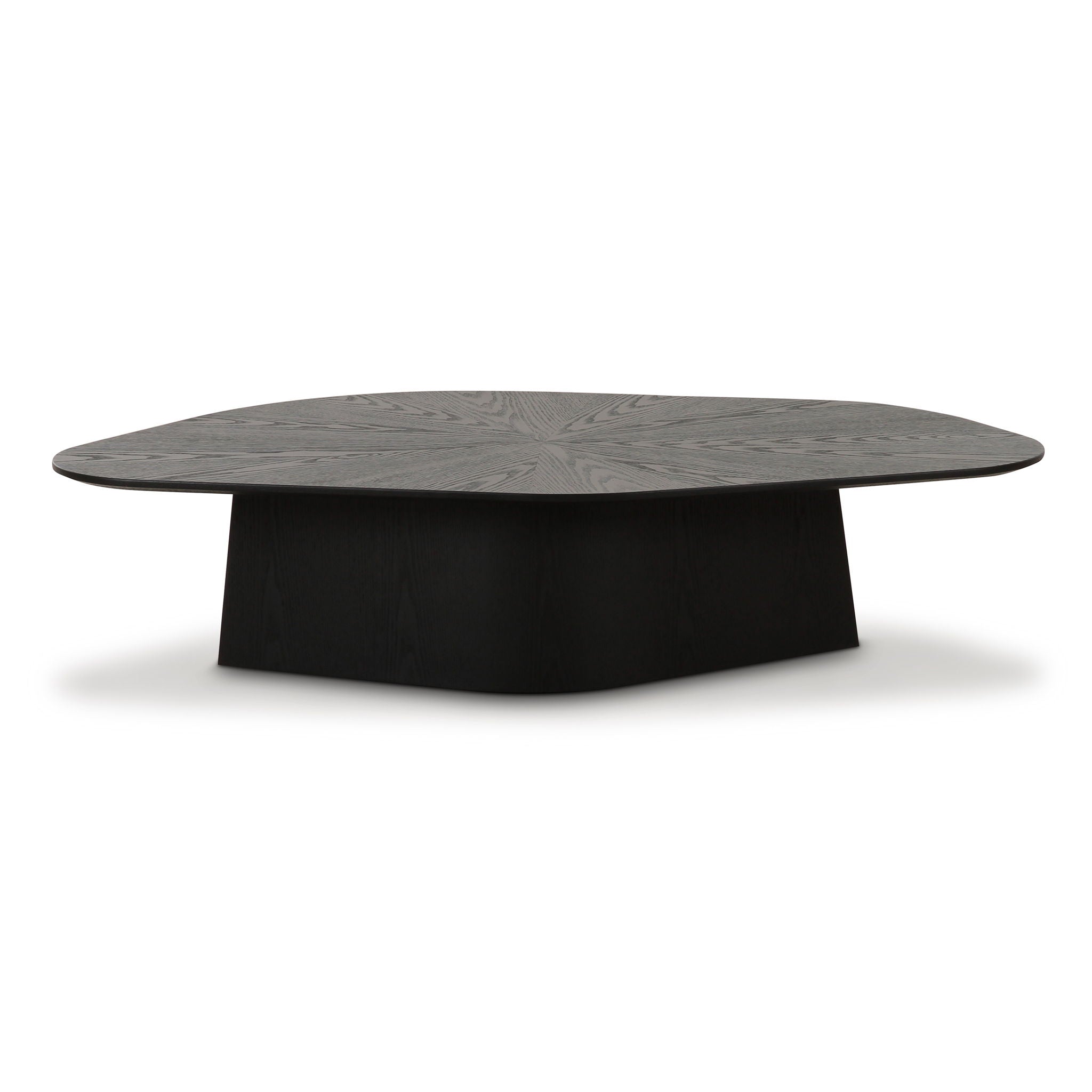 Roche Low Coffee Table - Thumbnail 2
