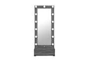 Lexi - Narrow Tall Mirror - Gray