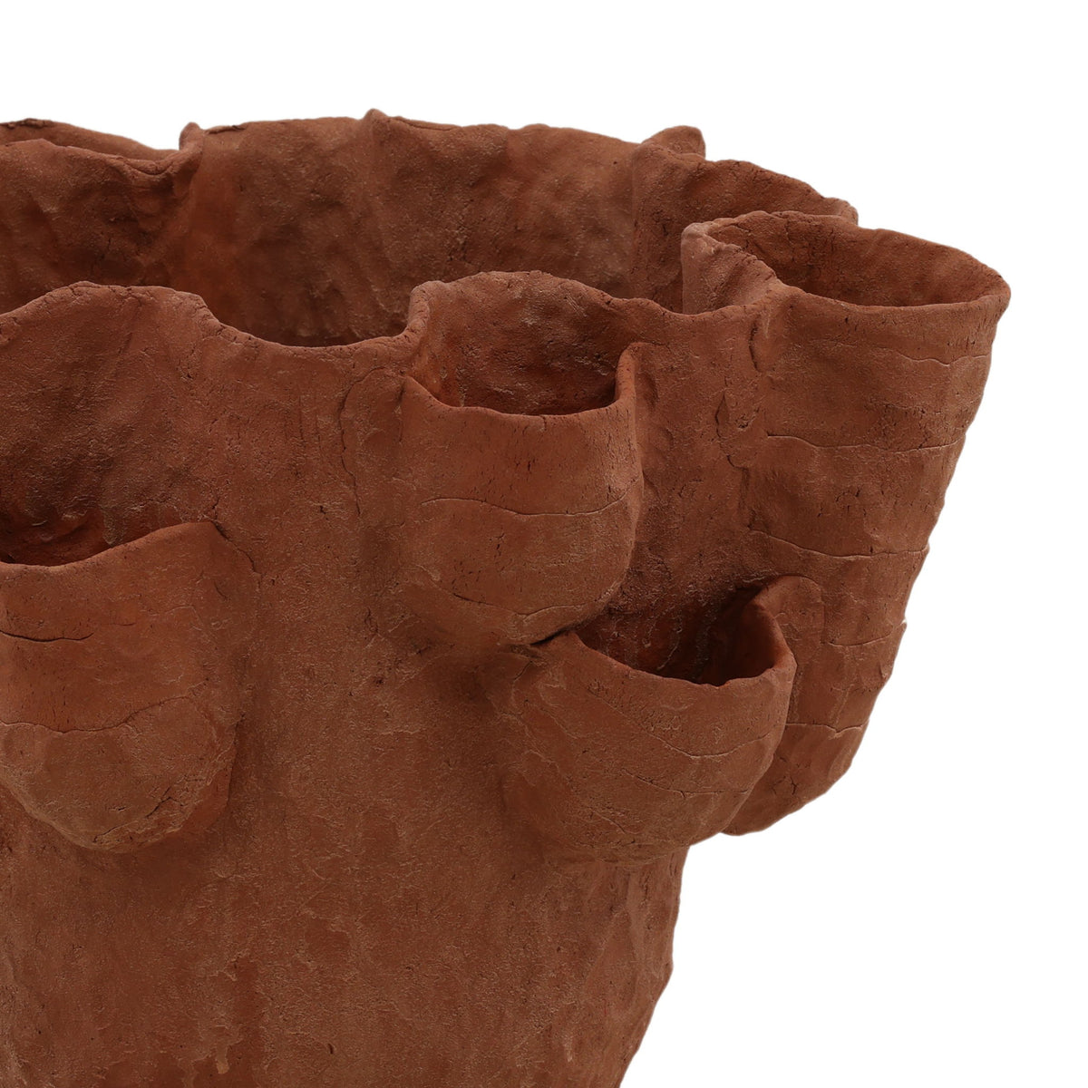 Coralia - Vase - Natural