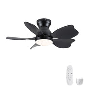 Low Profile Flush Mount Ceiling Fan With Light
