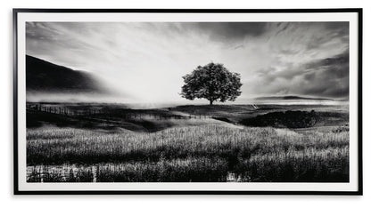 Deborland - Wall Art - Black / White
