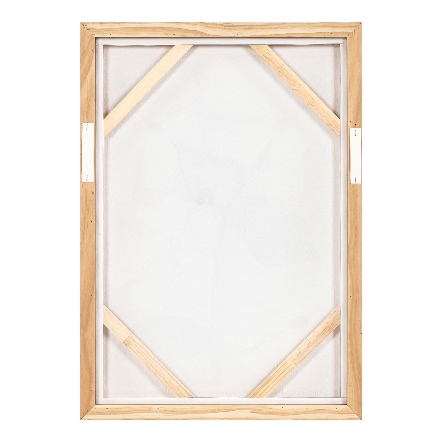 Blush - Framed Painting - Pink
