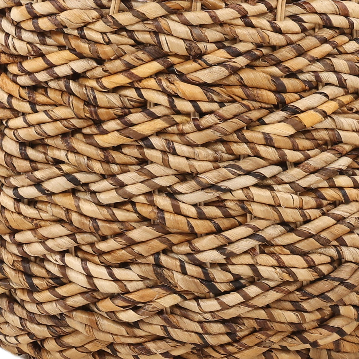 Remigio - Basket (Set of 2) - Natural