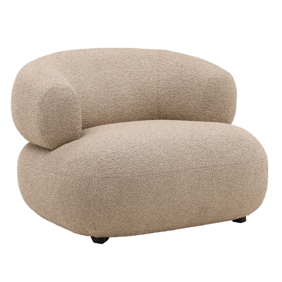 Monty - Occasional Chair - Santa Cruz Camel
