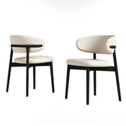 Mid-Century Modern Dining Chair (Set of 2)