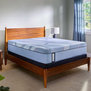 Posturepedic Pro - Indianapolis Medium