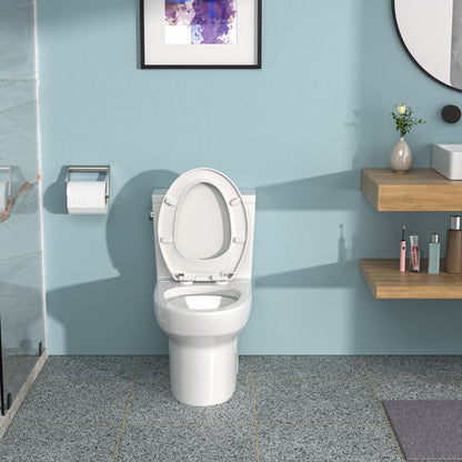 1 Piece Toilet & Soft Closing Seat - White