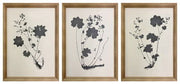 Huddwick - Wall Art Set (Set of 3) - Linen / Black