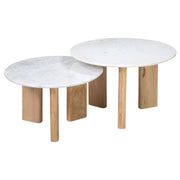 Bryn - Coffee Table (Set of 2) - White And Natural