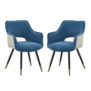 Side Chair, Living Room Bedroom Kitchen Vanity Accent Chair (Set of 2) - Blue