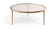 Evren - Glass Top And Aluminum Base Coffee Table
