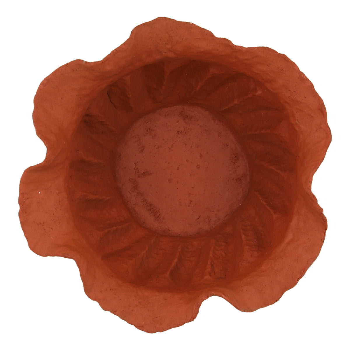 Ward - Bowl - Natural