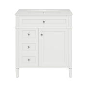Bathroom Vanity With Top Sink, Modern Bathroom Storage Cabinet With 2 Drawers And A Tip-Out Drawer