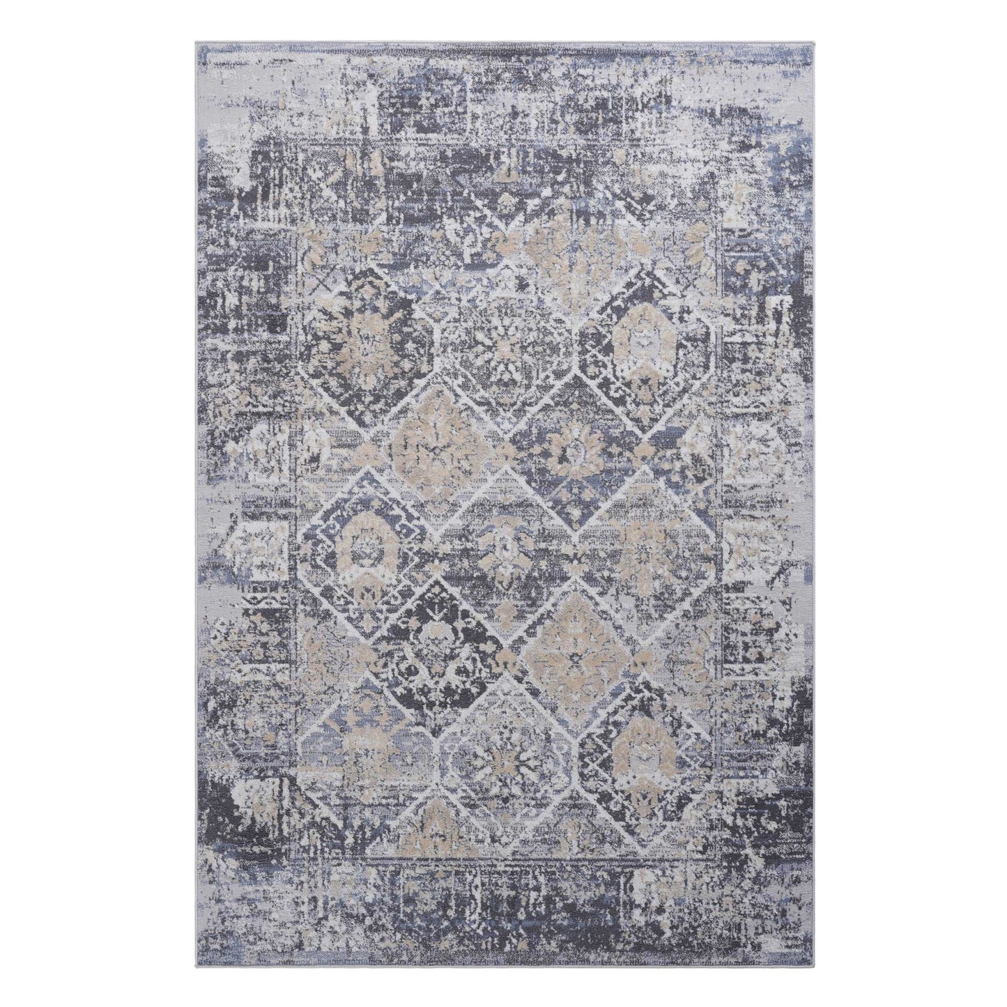Payas - 5' X 7' Traditional Area Rug - Gray / Blue