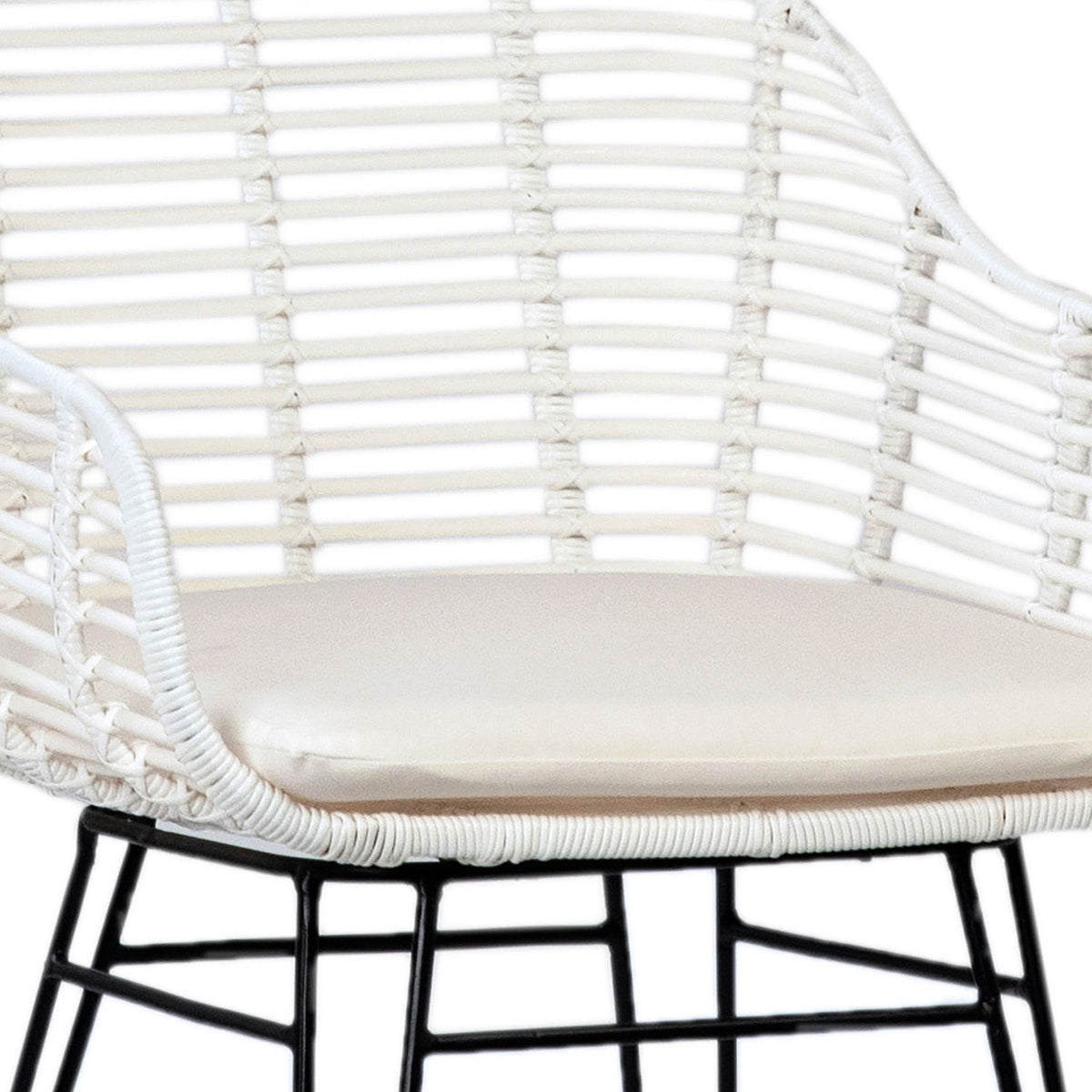Niles - Outdoor Dining Chair (Set of 2) - White With Black
