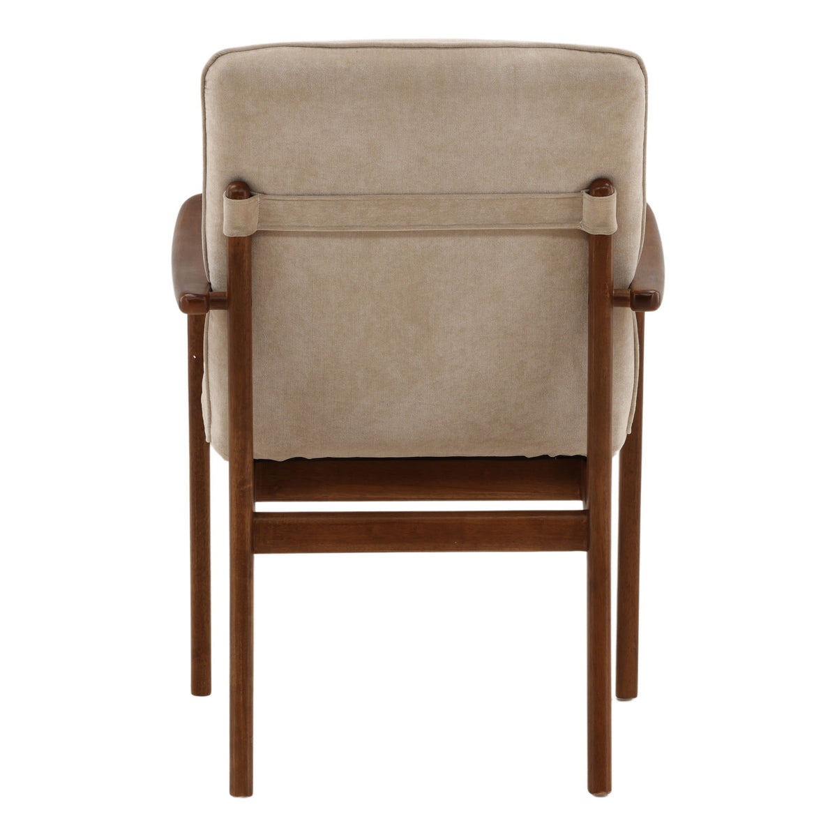 Talesa - Dining Chair