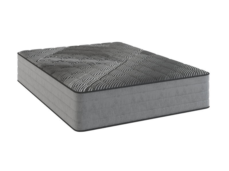 TRU Performance - 14" Black Ice Plush Mattress