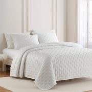 Lyocell - King Eucalyptus Quilt Set (Set of 3) - White