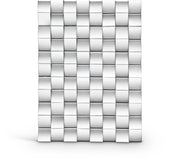 Ziggy - Mirror - Pearl Silver