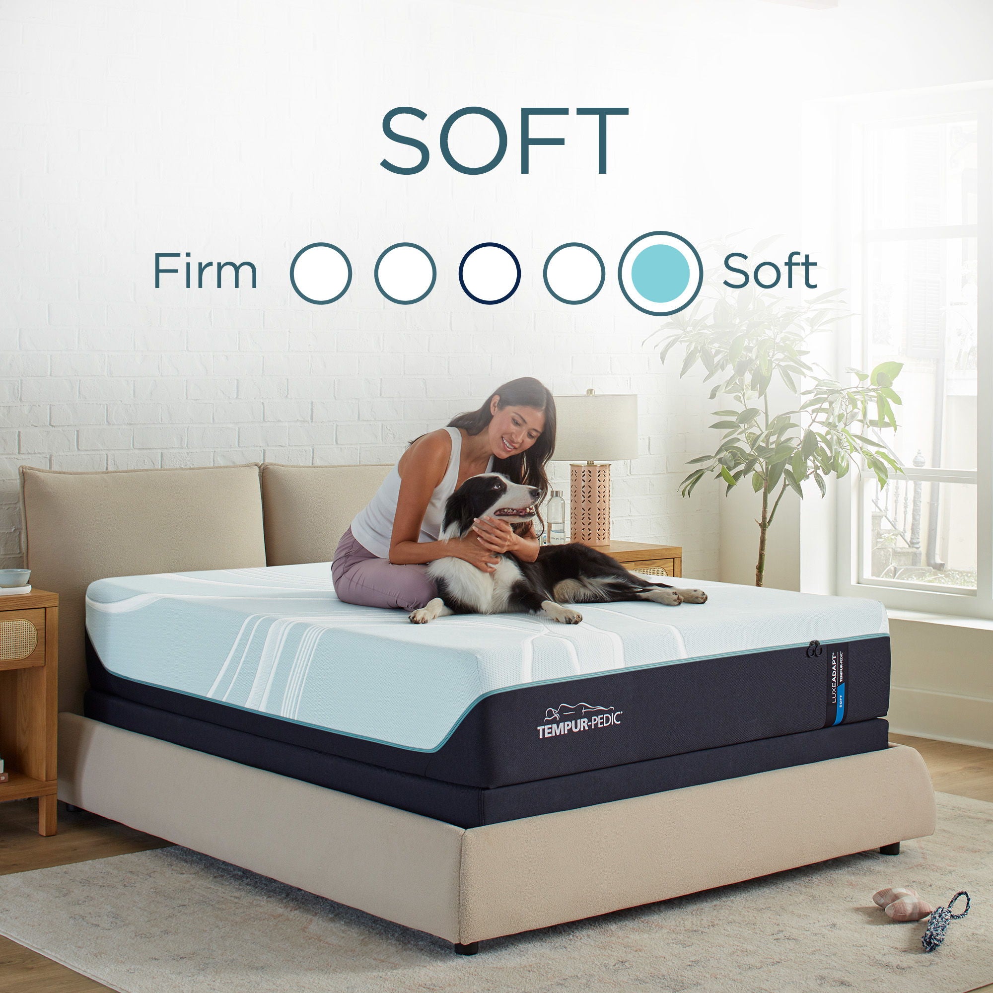 Better Home Furniture and Mattress