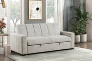 Sofa with Pull-out Bed
