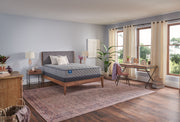 Crown Jewel - Sixth & Park Firm Tight Top Mattress