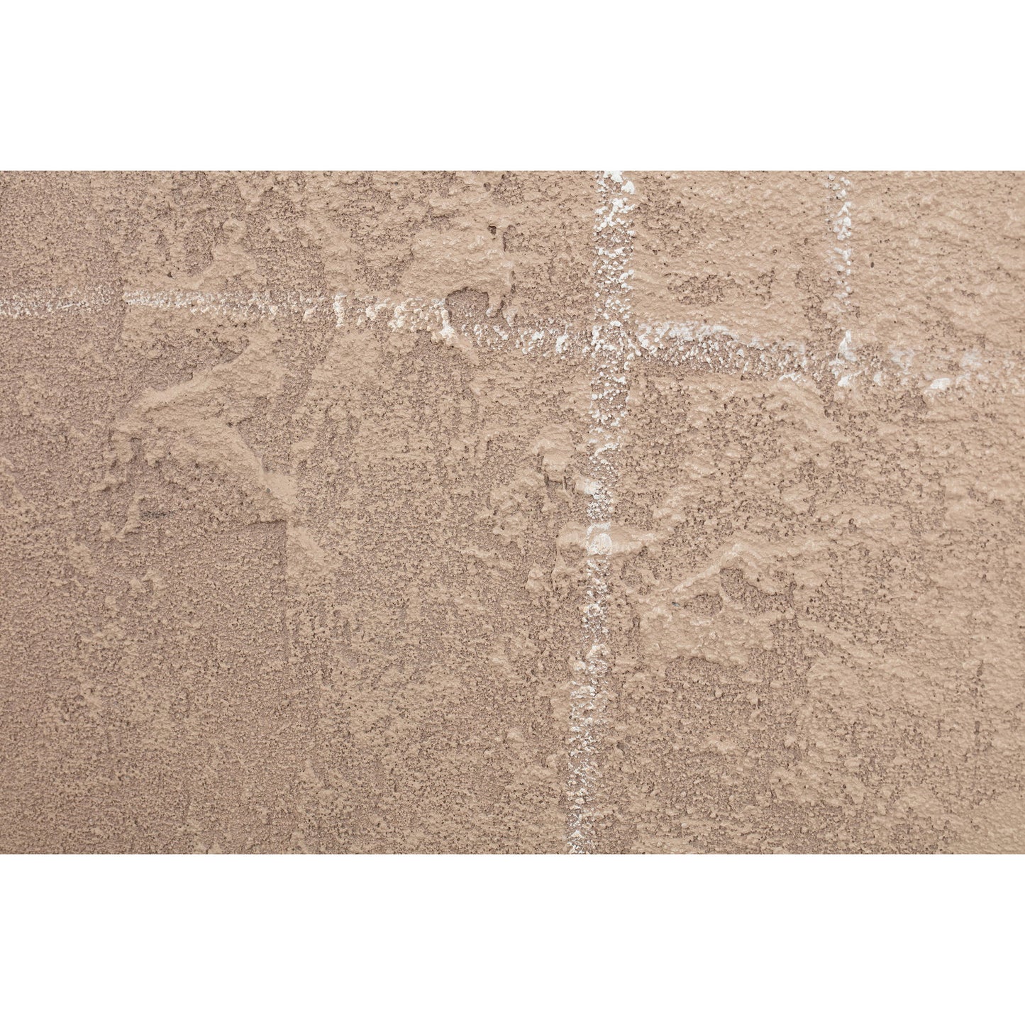Notion - Canvas Art - Light Brown