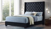 B579 - Velvet Bed