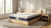 Grace Orthopedic Mattress