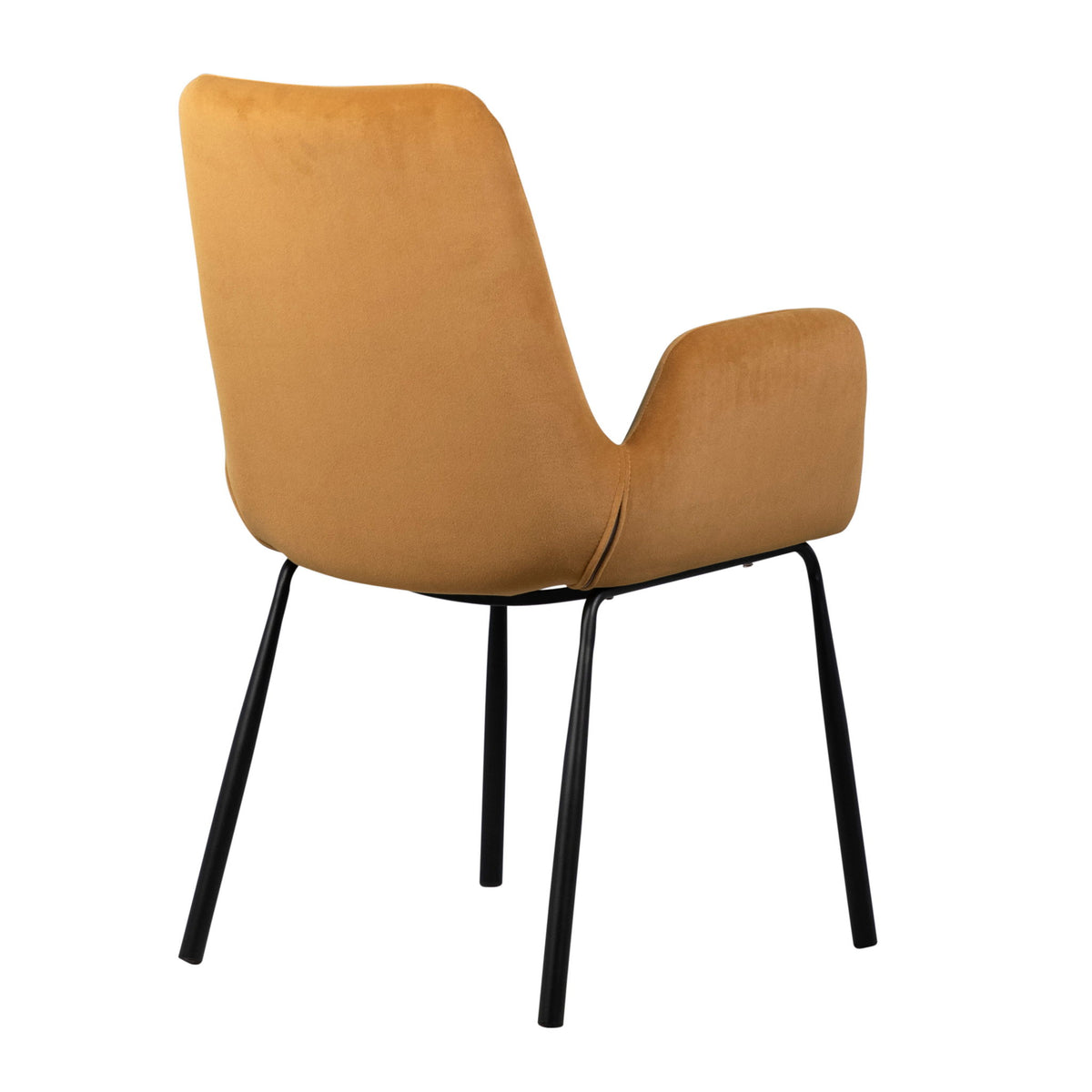 Venice - Dining Chair - Mustard And Black