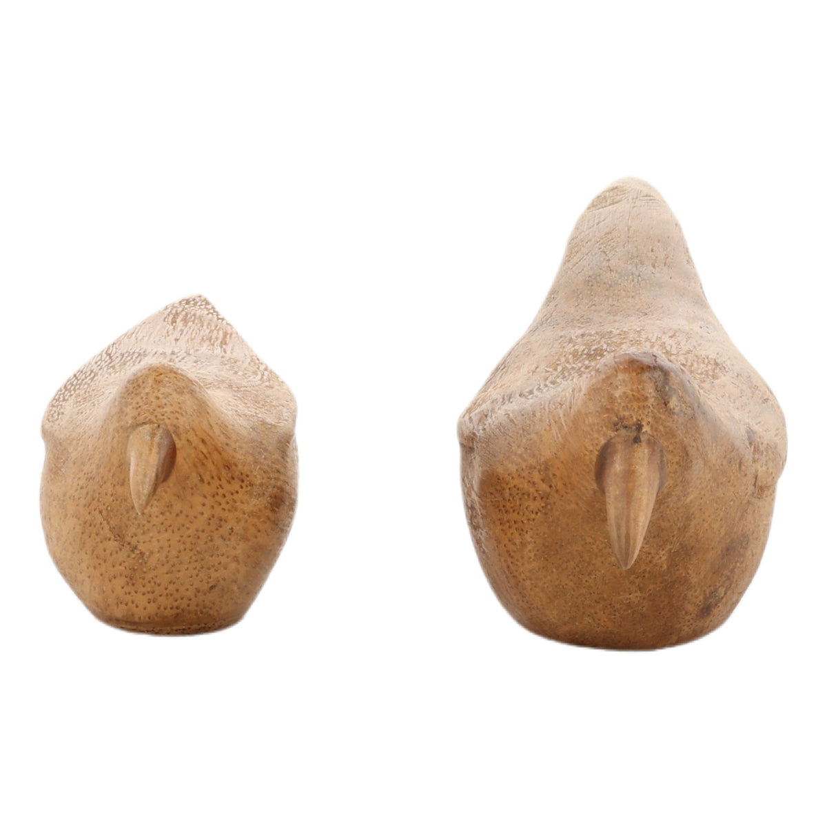 Jay - Sculpture (Set of 2) - Natural