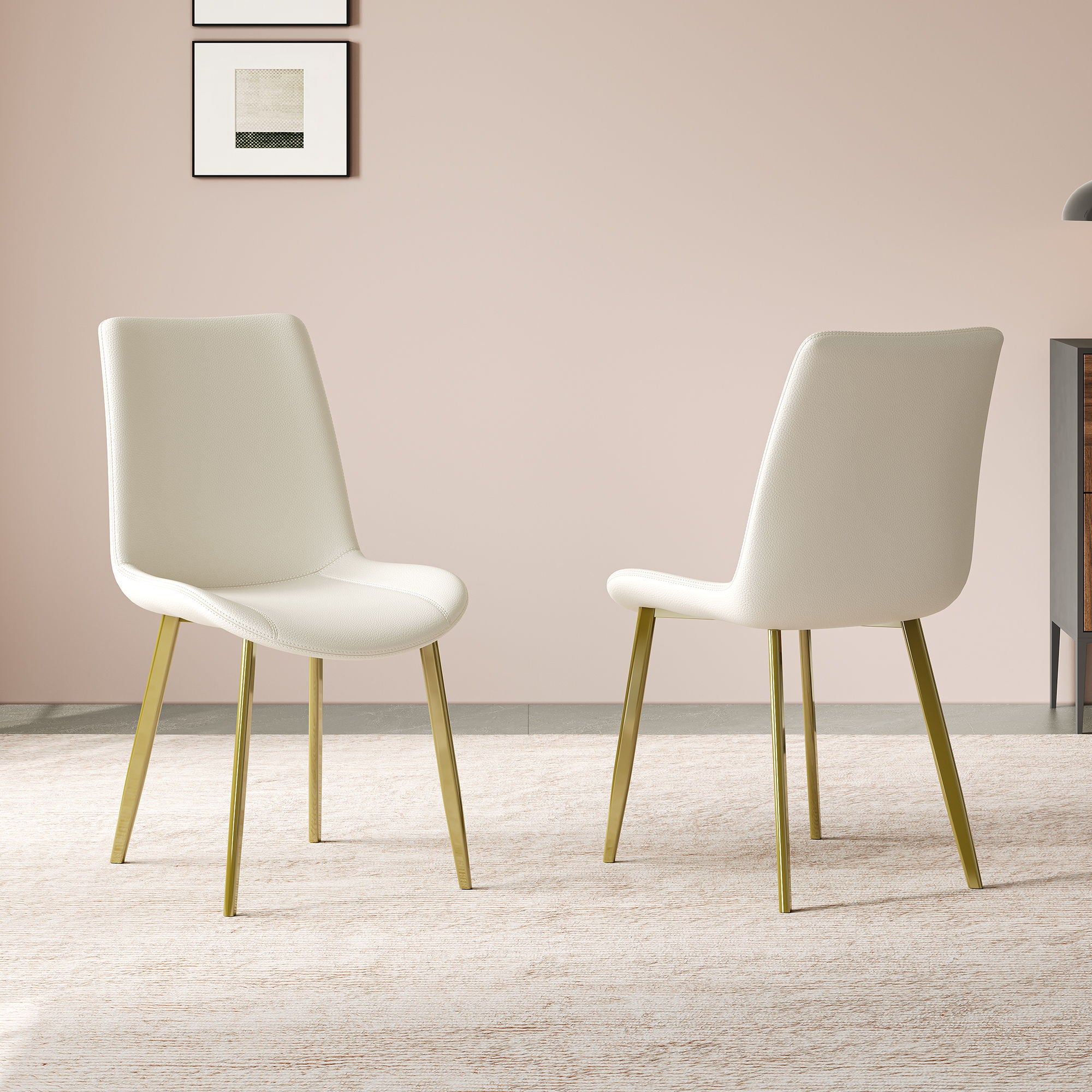 Modern Mid Century Dining Chairs