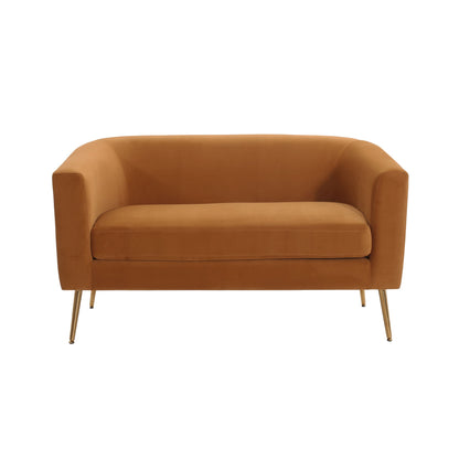 Modern Elegant Design Style Loveseat