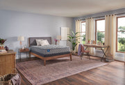 Crown Jewel - Fourth & Park Firm Tight Top Mattress