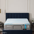Sleep & Bedding > Mattresses with Bases