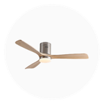 Ceiling Fans