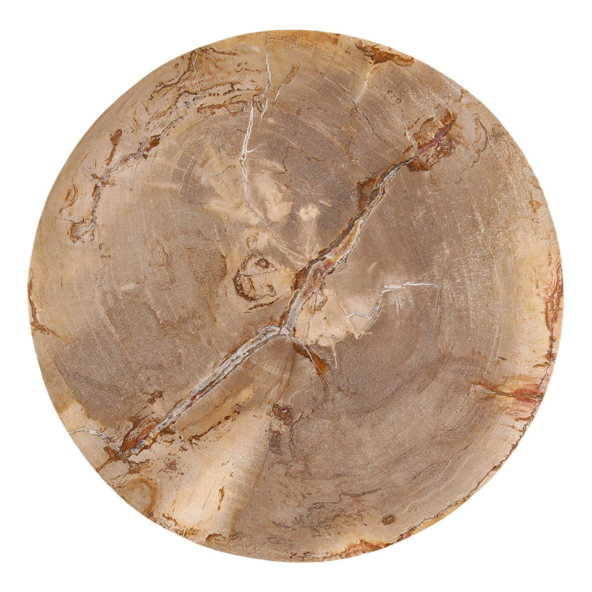 Calvus - Side Table - Light Natural And Bronze