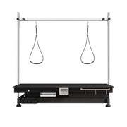 Super Deluxe Electric Pet Grooming Table, Height Adjustable