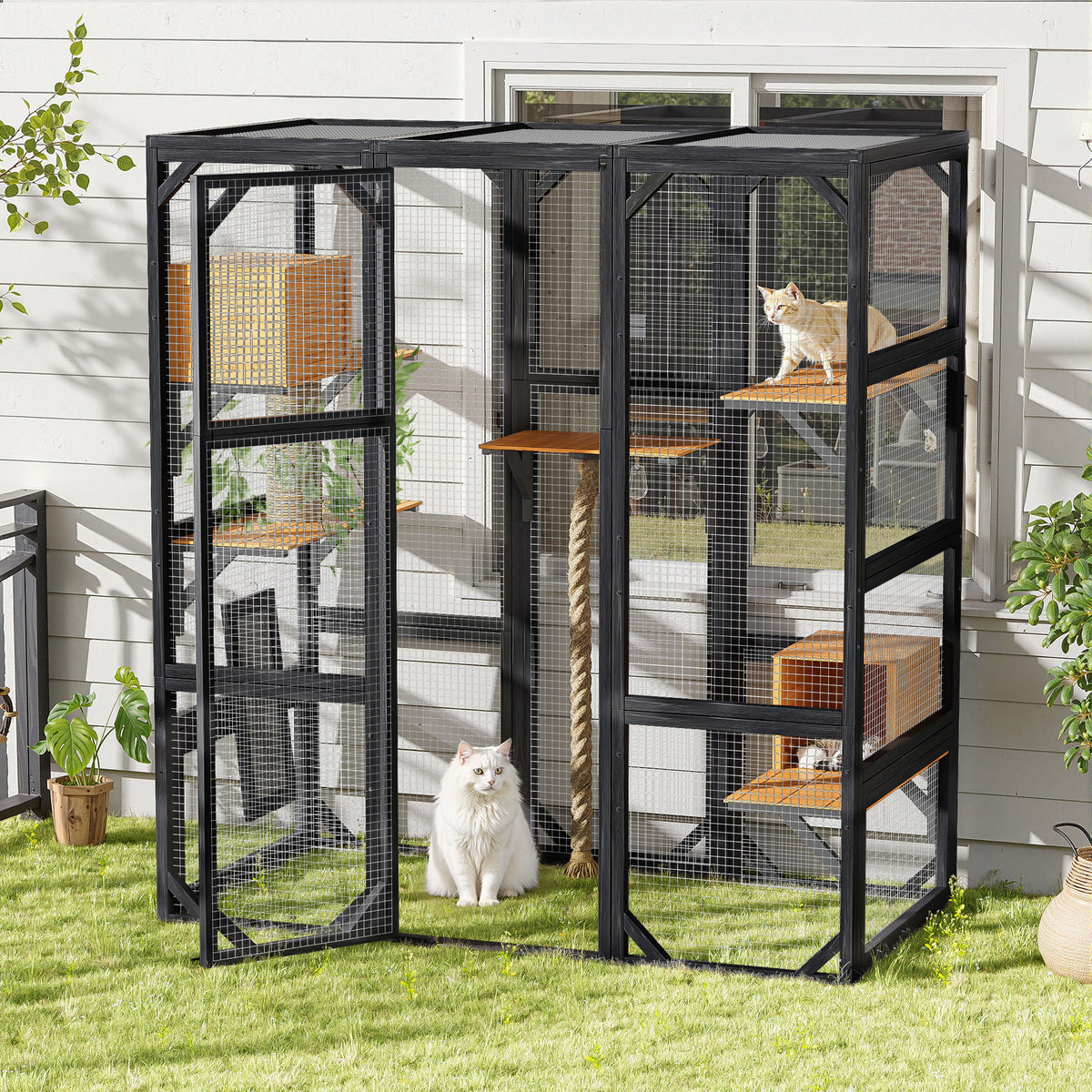 Outdoor Catio Enclosure