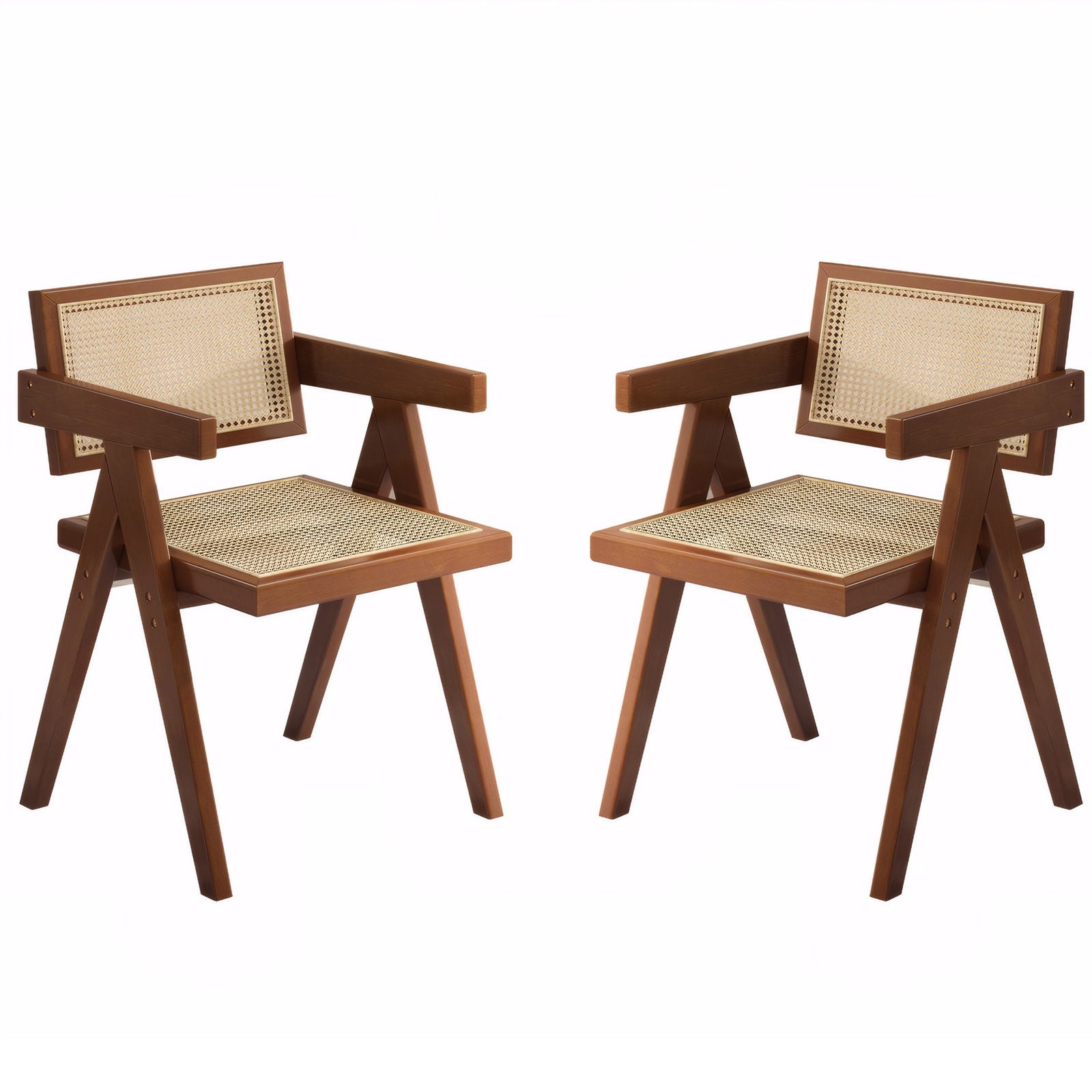 Modern Mid Century Dining Chairs - Thumbnail 2
