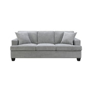 Baldwin - Sofa With 2 Pillows - Dalton Graphite