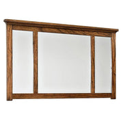 Oak Park - Mirror