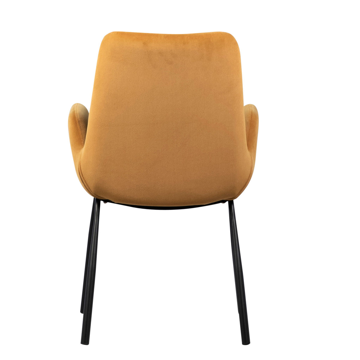 Venice - Dining Chair - Mustard And Black