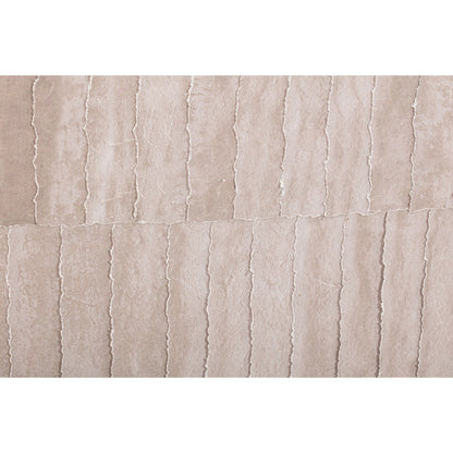 Willet - Canvas Art - Gray